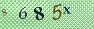 CAPTCHA code